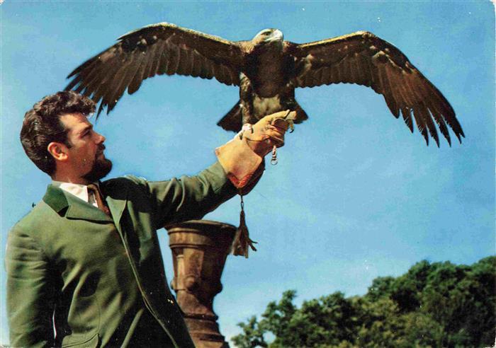 Adler Eagle Aigle Aguila-- Falkenhof Ruedesheim Kaiseradler