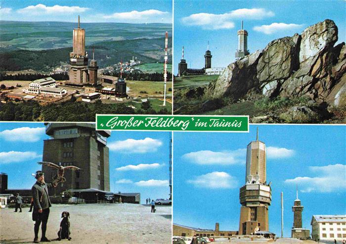 Falkner Falke Falcon Faucon Halcon Grosser Feldberg Taunius