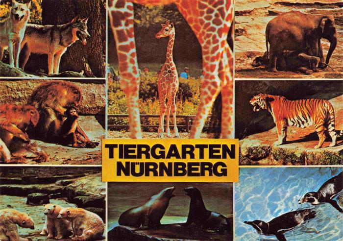 Zoo Gardin Zoologique-- Nuernberg Seelowen Tieger Giraffe Affen Elefant Eisbaere