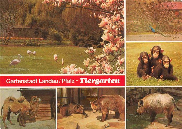 Zoo Gardin Zoologique-- Landau Pfalz Braunbaer Kamel Wildschwein Affe