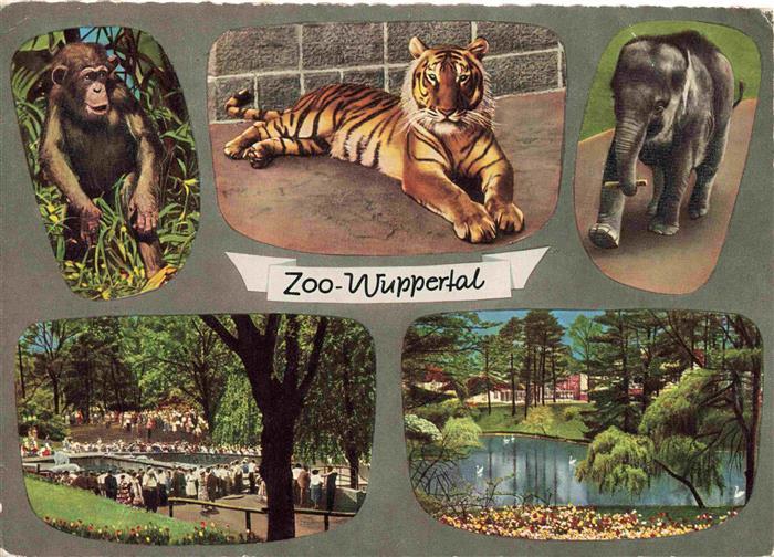 Zoo Gardin Zoologique-- Wuppertal Affe Elefant Loewe