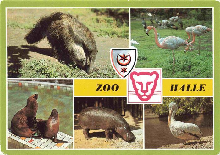Zoo Gardin Zoologique-- Halle Ameisenbaer Flamingo Pelikan