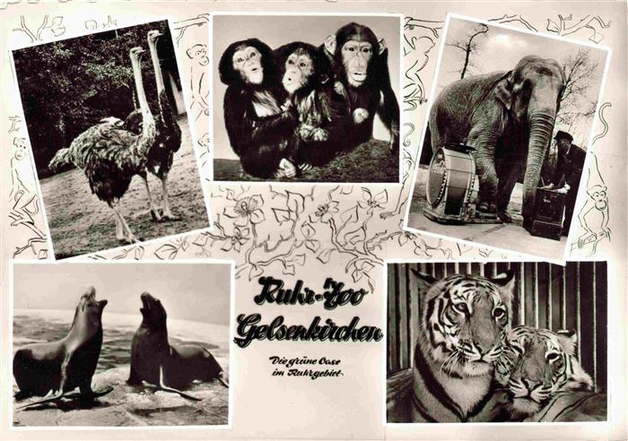 Zoo Gardin Zoologique-- Ruhr Gelsenkuechen Loewe Affe Straus Elefant