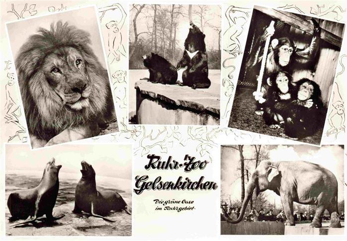 Zoo Gardin Zoologique-- Ruhr Gelsenkirchen Elefant Loewe Affen Baer Seeloewen