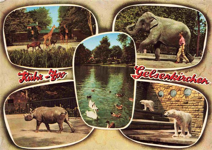 Zoo Gardin Zoologique-- Ruhr Gelsenkirchen Nashorn Eisbaer Elefant Giraffe