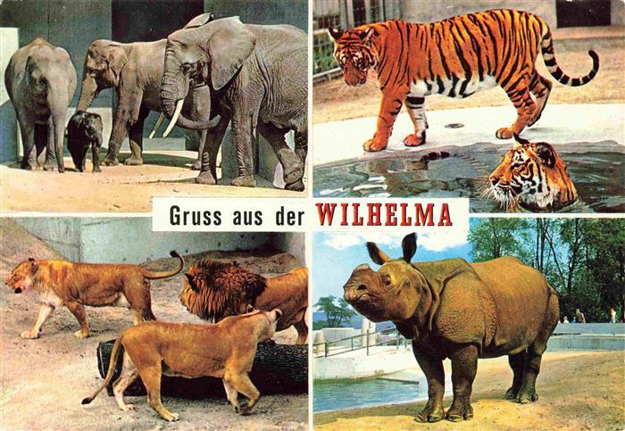 Zoo Gardin Zoologique-- Wilhelma  Elefanten Loewe Panzernashorn