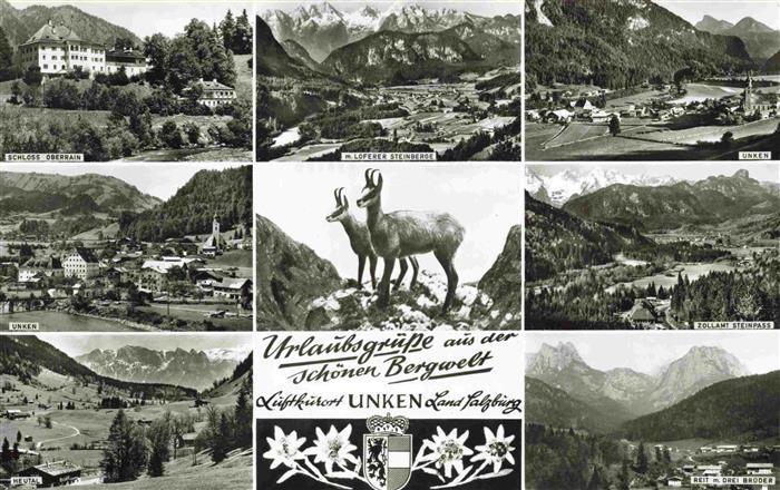 Unken Salzburg AT Schloss Loferer Steinberge Alpenpanorama