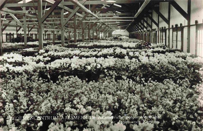Aalsmeer NL Bloemencentrum