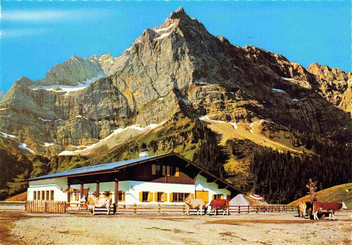 Eng Alm 1272m Tirol Rasthuette Karwendelgebirge