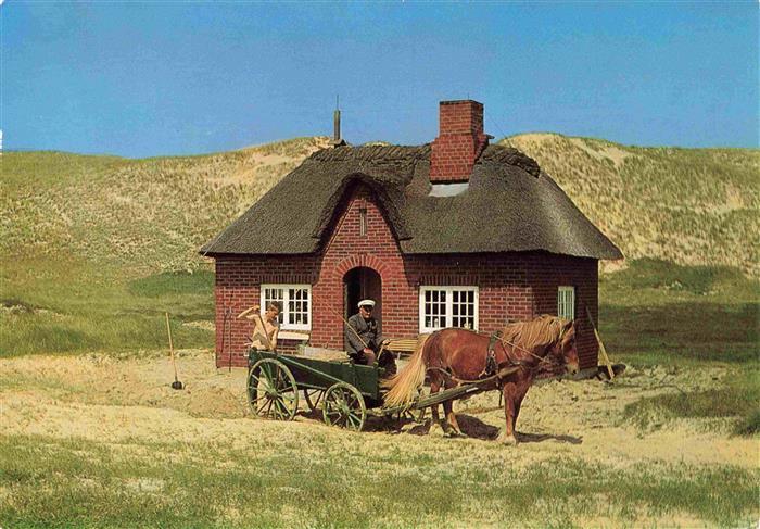 Amrum Insel Nebel Nordfriesland Vogelwaerterhaus auf Amrum-Odde Pferdefuhrwerk