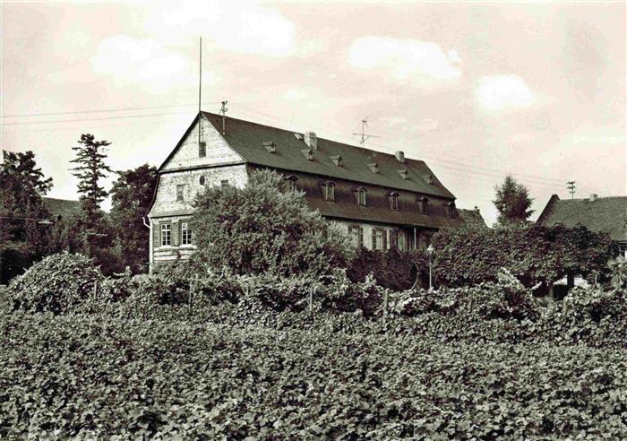 Winkel Oestrich-Winkel Brentano-Haus