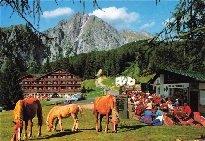 Falzeben Hafling Bozen Suedtirol IT mit Ilfinger Haflinger Pferde