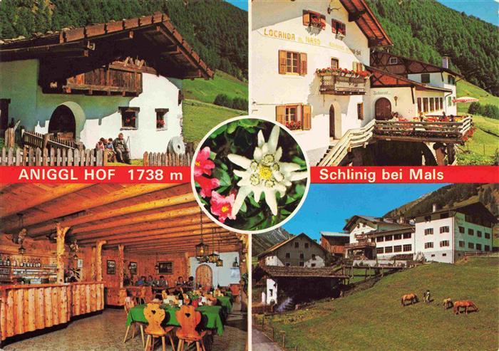 Schlinig Mals Suedtirol Aniggl Hof Gastraum Pferdeweide Alpenflora