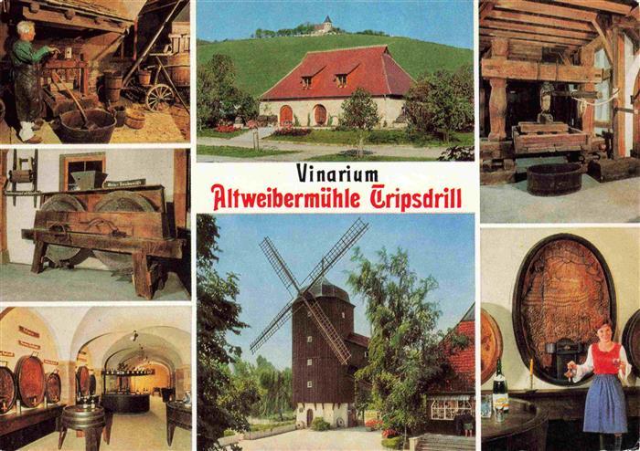 Tripsdrill Cleebronn Altweibermuehle Vinarium Ausflugs- und Erholungspark