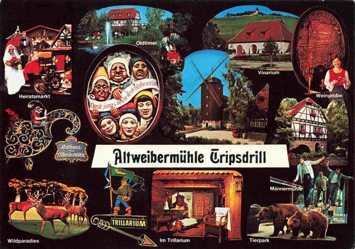 Tripsdrill Cleebronn Altweibermuehle Vinarium Ausflugs- und Erholungspark