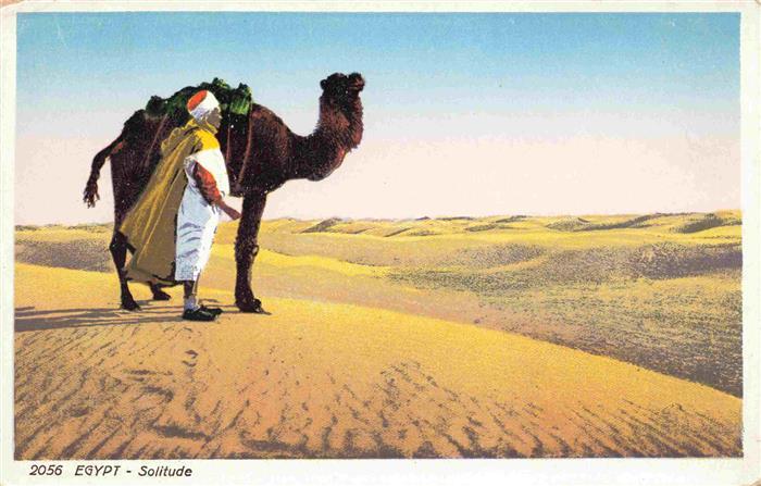 Kamele  Camel Chameau-- Egypt Cairo Wueste