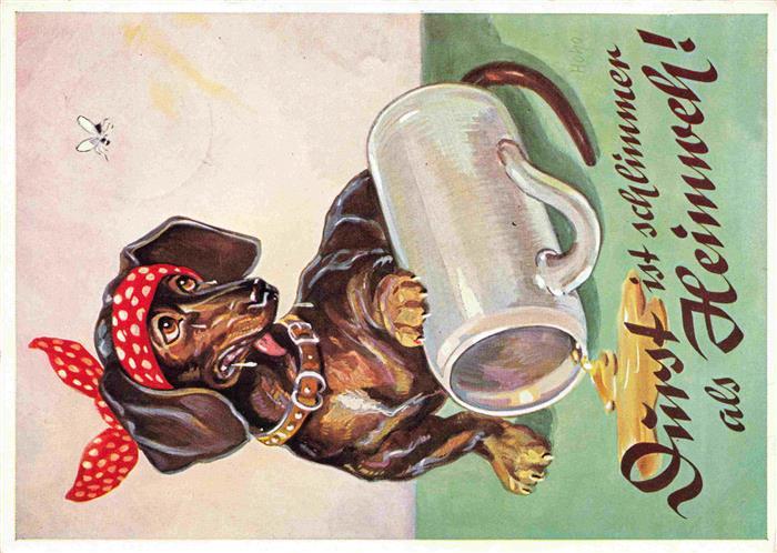 Dackel Dachshund Teckel Hunde dogs Chiens Cani Muenchen