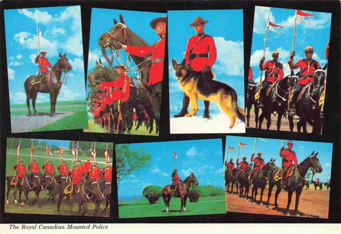 Schaeferhund Deutscher German Shepard allemand-- Leibgarde Royal Canadian Mounte