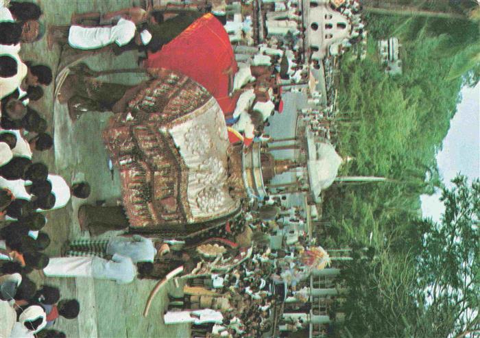 Elefant Kandy Sri Lanka