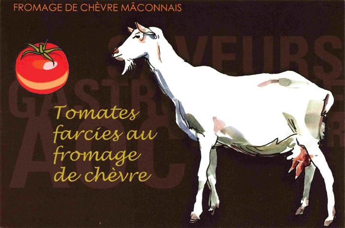 Ziege Goat Chevre-- Tomate Fromage Maconnais