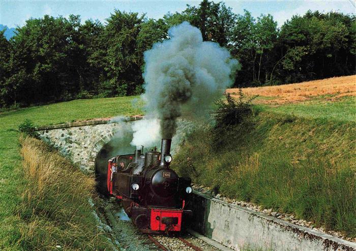 Eisenbahn Railway Chemin de Fer Blonay Chamby Tunnel Zell Todnau