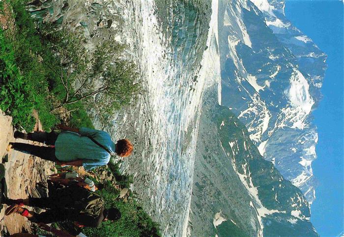 Gletscher Glacier Glaciar Ghiacciaio-- Mont Blanc Grandes Jorasses