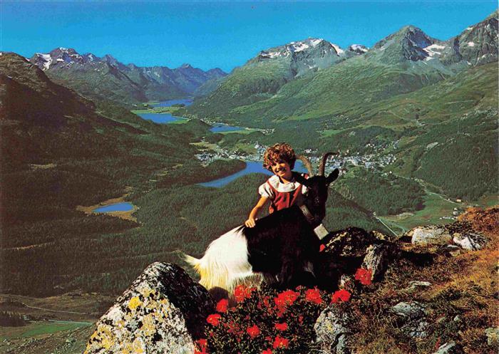 Gemsen Steinbock Capricorn Capricorne Capricornio-- Heidiland Schweiz