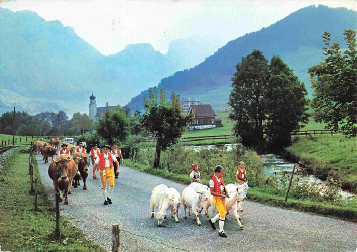 Landwirtschaft Alpabfahrt Schweiz Kuehe Trachten