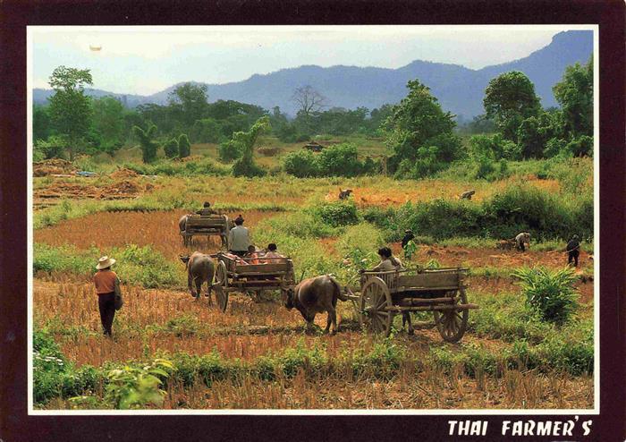 Landwirtschaft Thai Farmer's
