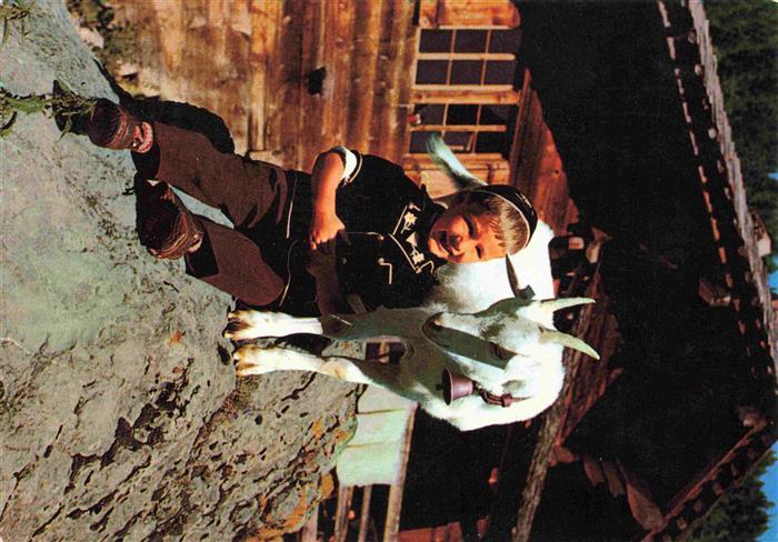 Ziege Goat Chevre-- le petit chevrier Schweiz