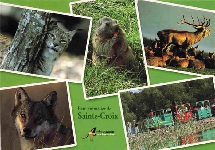 Zoo Gardin Zoologique-- Sainte Croix Parc animalier Rhodes