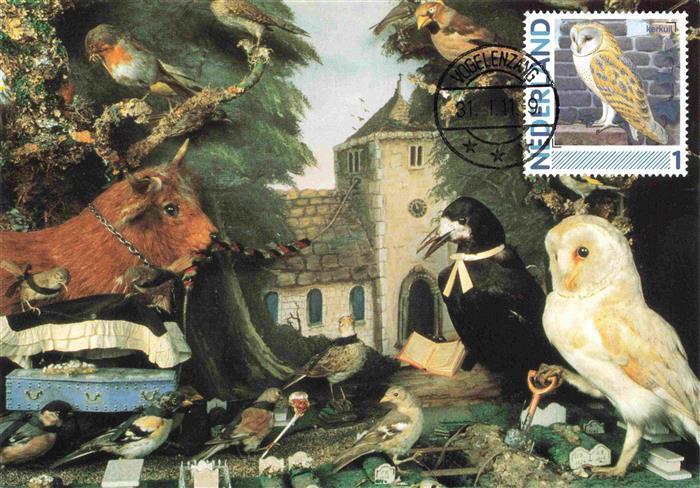 Eule Owl Hibou Chouette-- Stempel