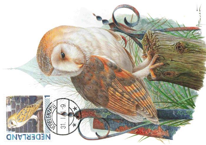 Eule Owl Hibou Chouette-- la Dame Blanche Nederland