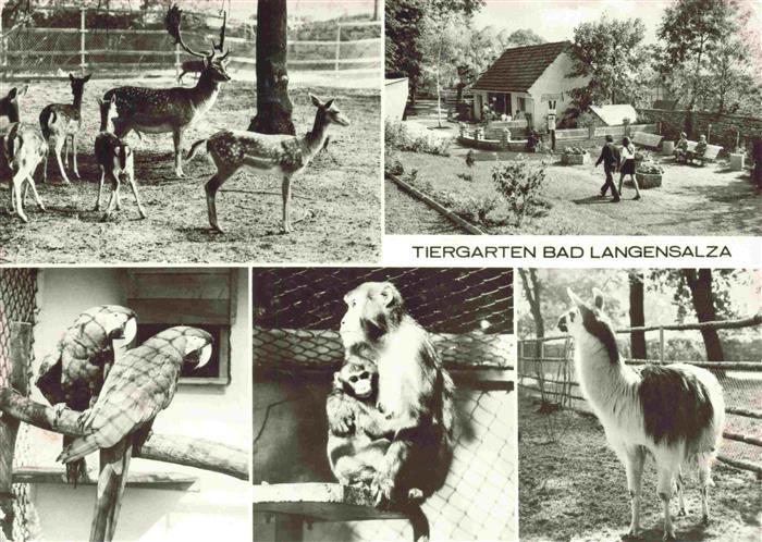 Zoo Gardin Zoologique-- Bad Langensalza Papagei Affen