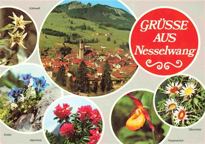 Nesselwang Allgaeu Bayern Ortsansicht div Alpenflora