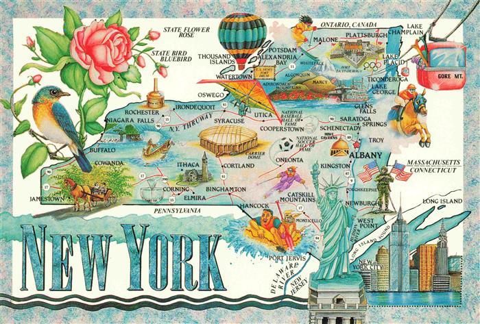NEW YORK City USA Capital Albany Area Motto Excelsior Ever Upward Flower Rose Tr