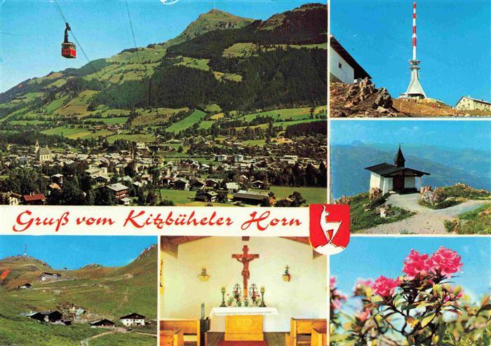 Kitzbueheler-Horn Tirol AT Panorama Sendemast Kapelle Inneres Alpenflora