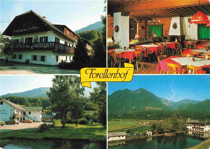 Gruenau Almtal Oberoesterreich AT Forellenhof Wieselmuehle Gastraum Panorama