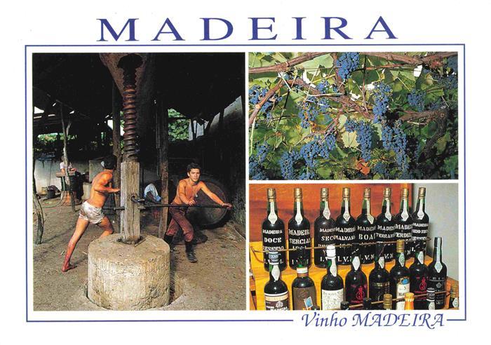 FUNCHAL Madeira PT Vinho Madeira Weinpresse Reben Weinregal