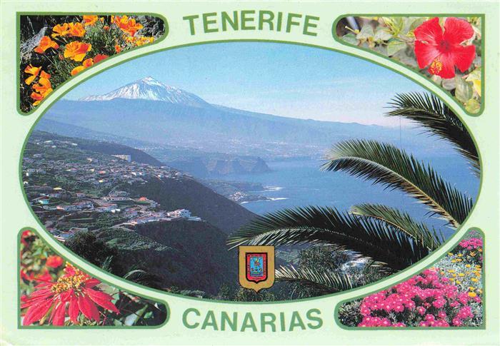 Tenerife Islas Canarias Spanien ES El Teide Panorama