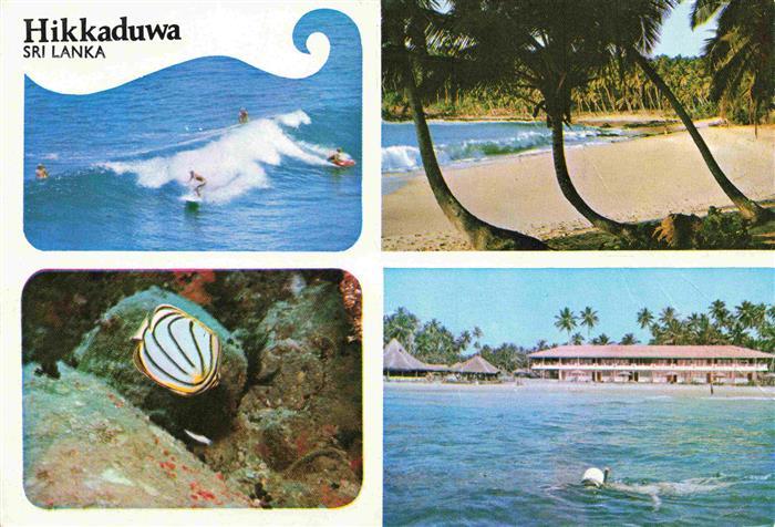 Hikkaduwa Sri Lanka Surfer Strand Hotel