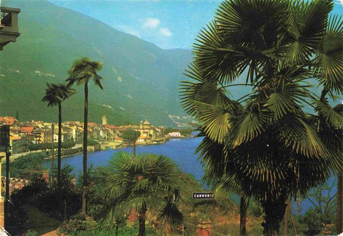 Cannobio Lago Maggiore IT Panorama