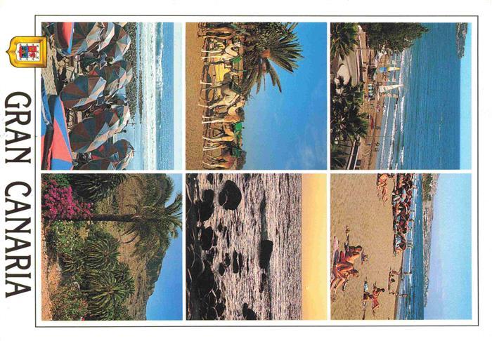 Gran Canaria ES Strandpartien Kamele Kueste