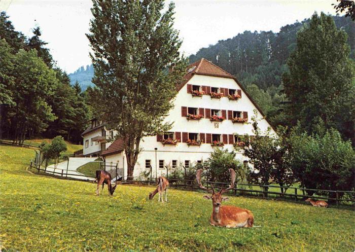 BADENWEILER BW Sanatorium Vogelbach