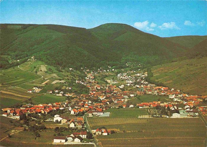 St Martin Pfalz Fliegeraufnahme