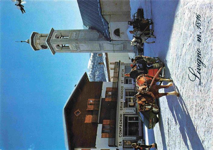 Livigno Lombardia IT Passeggiata sulle tipiche slitte