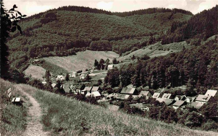 Sieber Herzberg am Harz Panorama Luftkurort im Siebertal