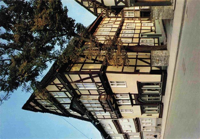 Hoexter Weser Tilly-Haus Fachwerkhaus Historisches Gebaeude