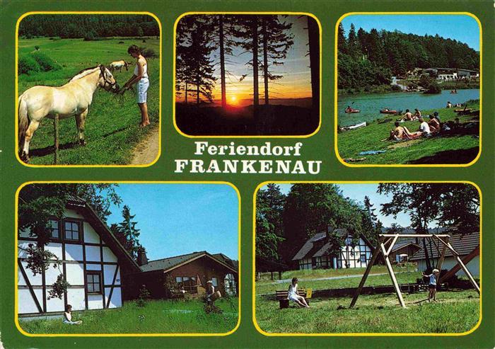 Frankenau Hessen Feriendorf Frankenau Pferde Kinderspielplatz Badesee Sonnenunte