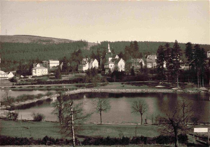 Hahnenklee-Bockswiese Harz Panorama Blick ueber den See zum Ort